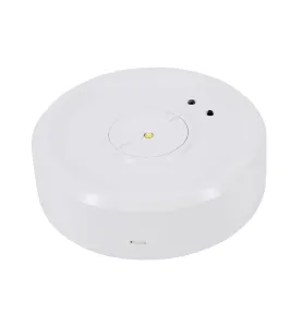 Luminaire d'urgence SKALER CIRCLE - 3W - IP40 - Autotest 3H - Encastré - 161lm - 6000K