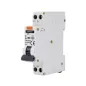 Disjoncteur différentiel 1P - 6A - 30mA - Type AC - Rail DIN - Protection contre les surintensités