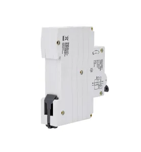 Disjoncteur différentiel SCHELINGER - 1P B 10A 30mA Type AC - Rail DIN - Protection électrique