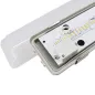 Luminaire LED Hermétique ARKOS 3 - 50W - 4000K - 8250lm - 120cm - IP66 - Blanc Naturel