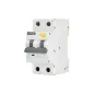 Disjoncteur différentiel 2P - 10A - 30mA - Type AC - Rail DIN - Protection électrique