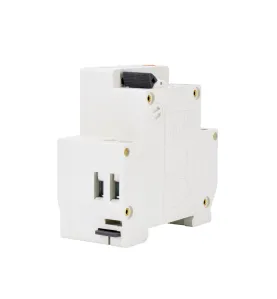 Disjoncteur différentiel 2P - 10A - 30mA - Type AC - Rail DIN - Protection électrique