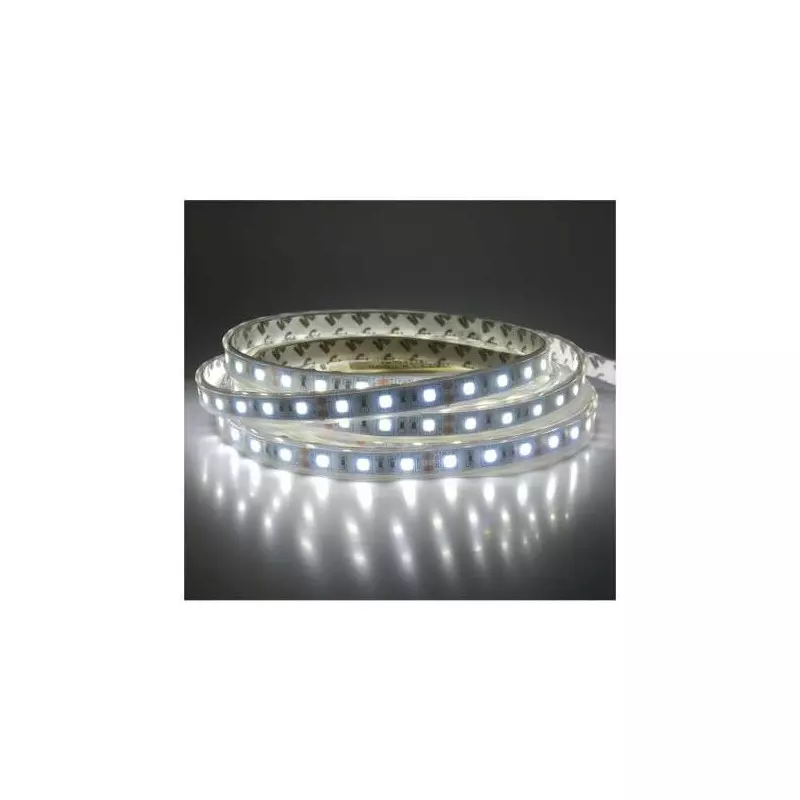 Ruban LED 60 LED/m IP67 14,4W/m Blanc Froid 6000K 5m 12V