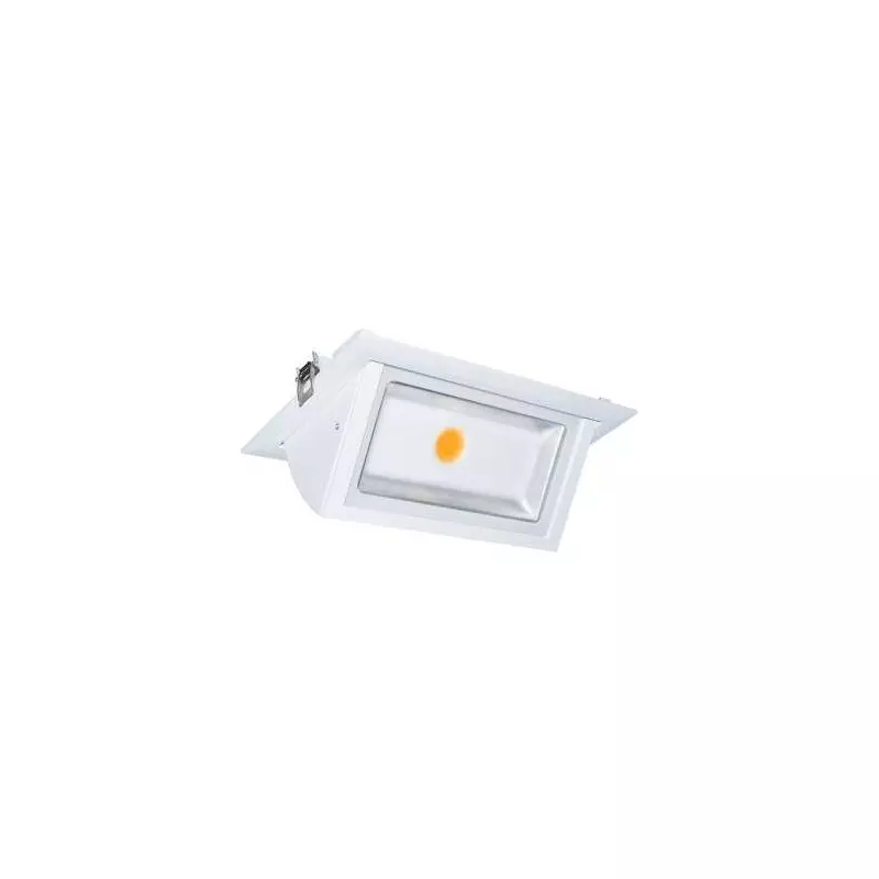 Spot LED Encastrable Orientable AC220/240V 40W 4300lm 120° Etanche IP40 235x145mm - Blanc Naturel 4000K perçage 220x125mm