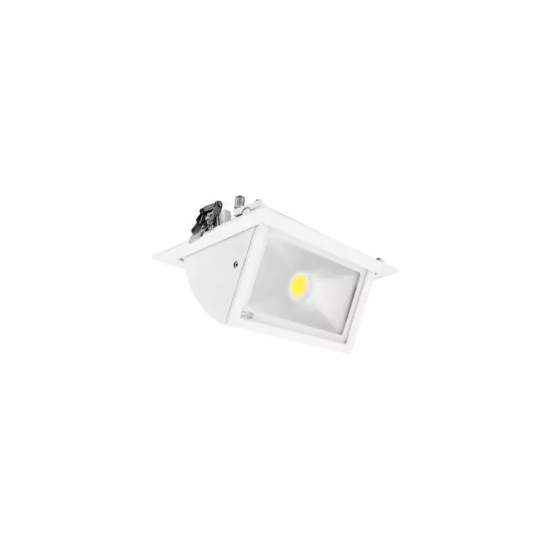 Spot LED Encastrable Orientable AC220/240V 30W 3200lm 90° Etanche IP40 IK09 145x235mm -  Blanc Naturel 4000K perçage 220x125mm