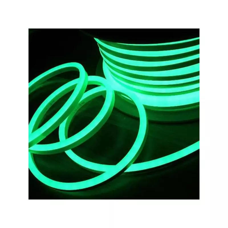 Néon LED Flexible lumineux