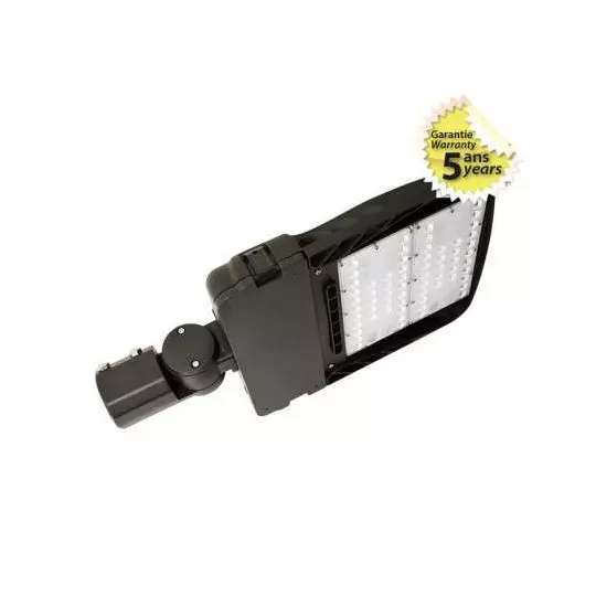 Lumière solaire DEL de style lampadaire avec détecteur de mouvement et  télécommande - 100 W - 6500 K/7500 K