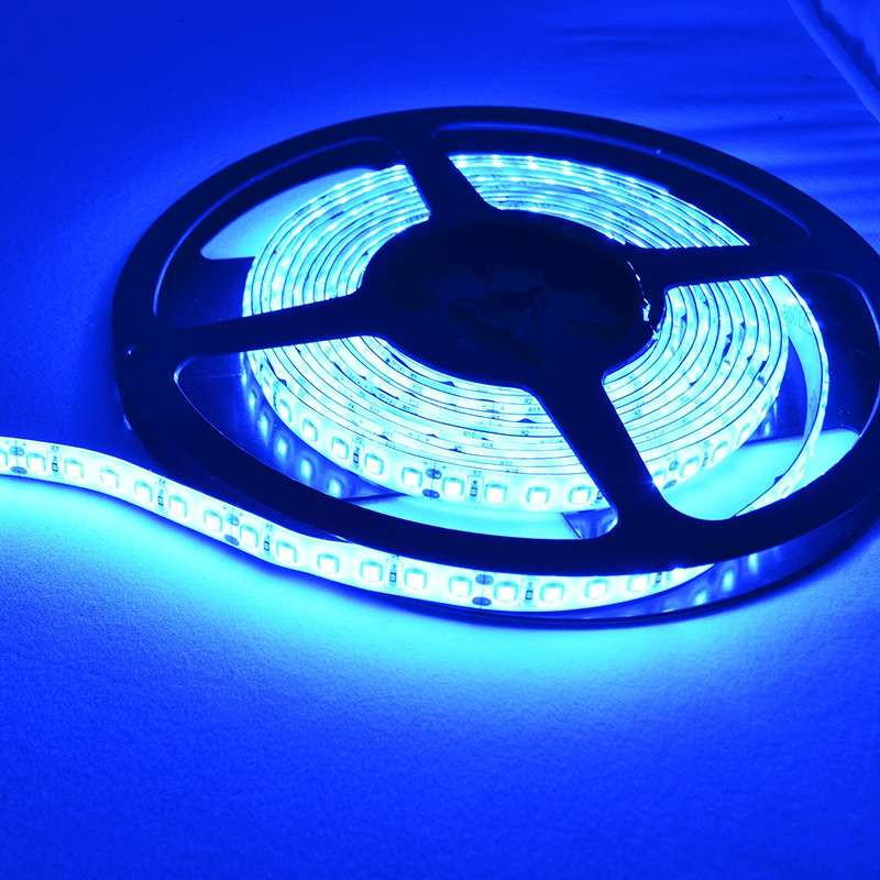 Ruban LED 120LED/m 5m 25W/m - Lumière Bleu