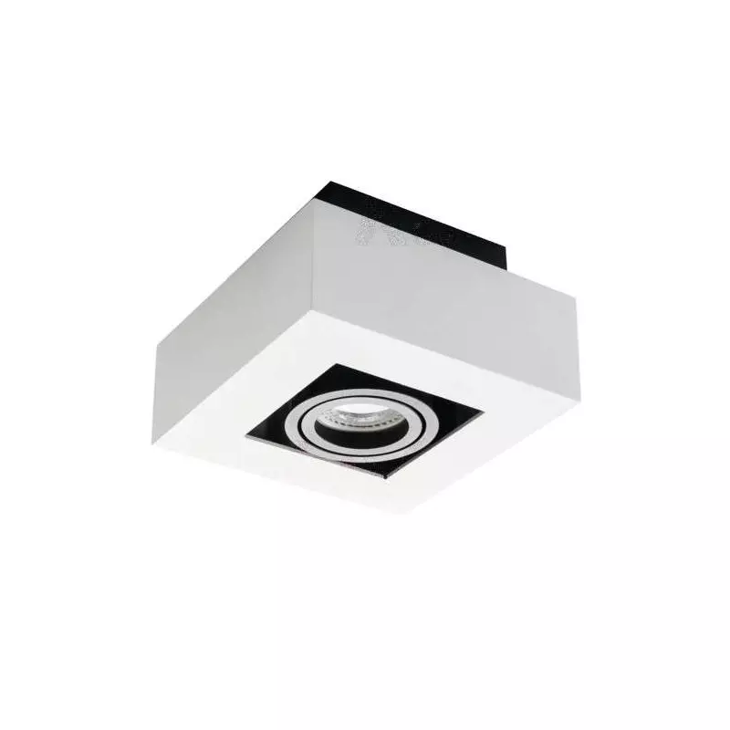 Support de spot saillie blanc noir orientable