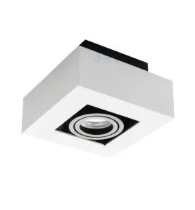 Support de spot saillie blanc noir orientable