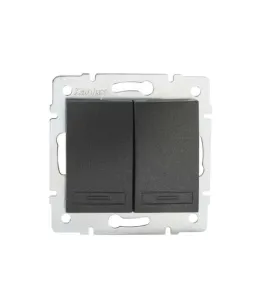 Bouton Poussoir Encastrable Double DOMO Graphite