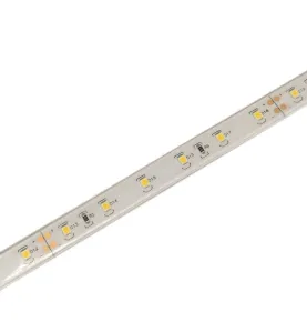 Ruban LED puissant 60 LED/m 11W/m DC24V Étanche IP68 - Blanc Chaud 3000K