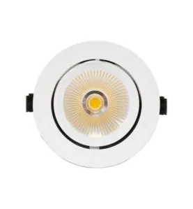 Spot LED Escargot Orientable/Inclinable 10W 900lm (90W) 25° Etanche IP40 IK05 Ø112mm - Blanc Chaud 3000K perçage Ø100mm