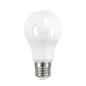 Ampoule LED E27 A60 10,5W 1050lm TUV lumière 75W Blanc du Jour 6400K