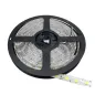 Ruban LED 5m étanche 60LED/m 14,4W/m - Blanc du Jour 6000K