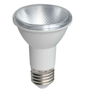 Ampoule LED PAR20 E27 6W équivalent 40W IP65