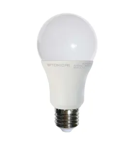 Ampoule E27 12W A65 équivalent 75W