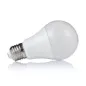 Ampoule E27 12W A65 équivalent 75W - Blanc Chaud 2700K