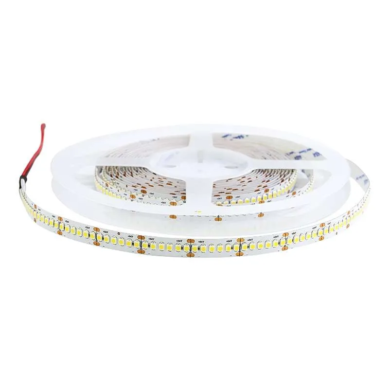 Ruban LED Blanc 24V haute luminosité 120 LED/m étanche 19W/m 5m - Blanc du Jour 5500K