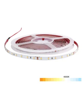 Ruban LED Blanc 24V 60 LED/m étanche 4,8W/m 5m - Blanc Naturel 4000K