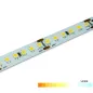 Ruban LED Blanc puissant 60 LED/m 14,4W/m - Blanc du jour 5500K