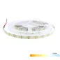 Ruban LED Blanc 24V haute luminosité 120 LED/m 19,6W/m - Blanc Du Jour 6000K