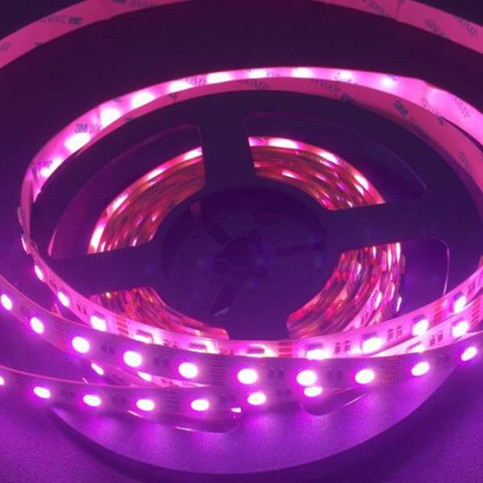 Ruban LED RGB puissant en 1 et 5M - LED 4G Eclairage LED