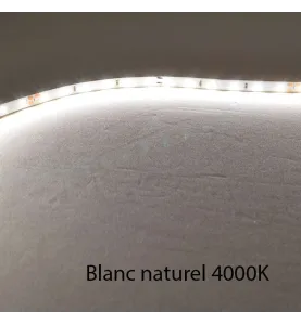 Ruban LED Blanc 60 LED/m 4,8W/m