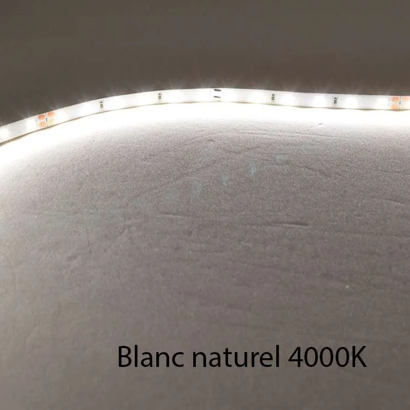 Ruban LED Blanc 60 LED/m 4,8W/m IP20 10m - Blanc Naturel 4000K