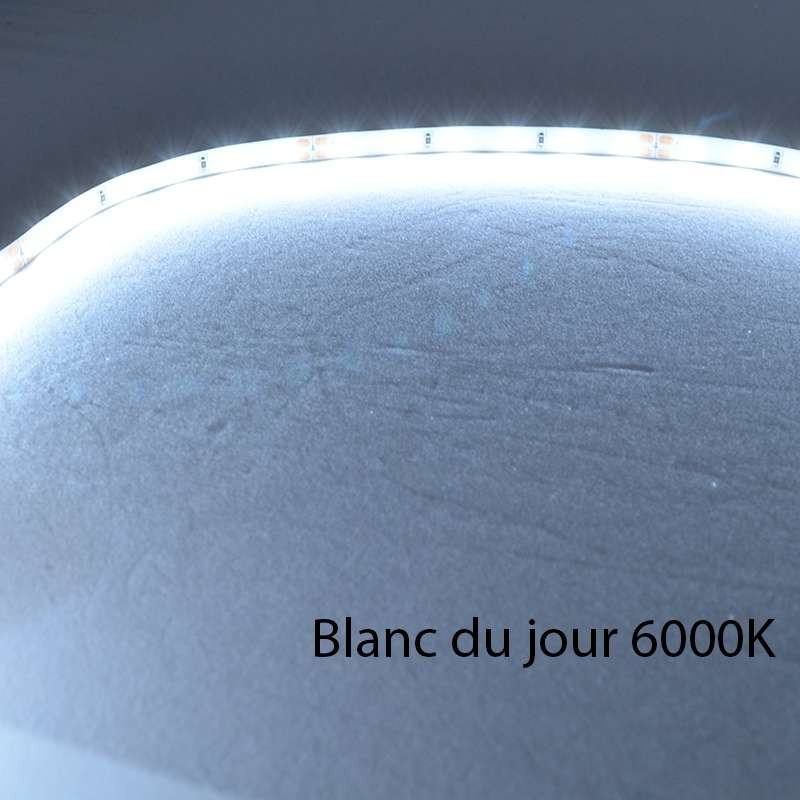 Ruban LED Blanc 60 LED/m 4,8W/m IP20 5m - Blanc du Jour 6000K