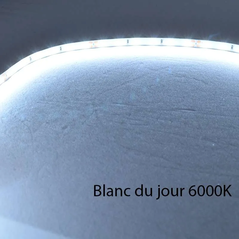 Ruban LED Blanc 60 LED/m 4,8W/m IP20 10m - Blanc du Jour 6000K