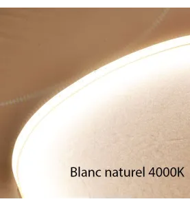 Ruban LED Blanc 1200 LED 5m 18W/m