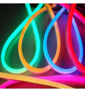 Néon LED Flexible RGB Lumineux 5m