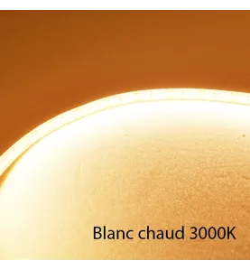 Ruban LED Blanc 1200 LED 5m 18W/m