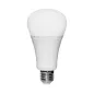 Ampoule LED E27 12W 1300lm 220° Ø74mm RF 2.4GHz - RGB+CCT 2700K-6500K 105