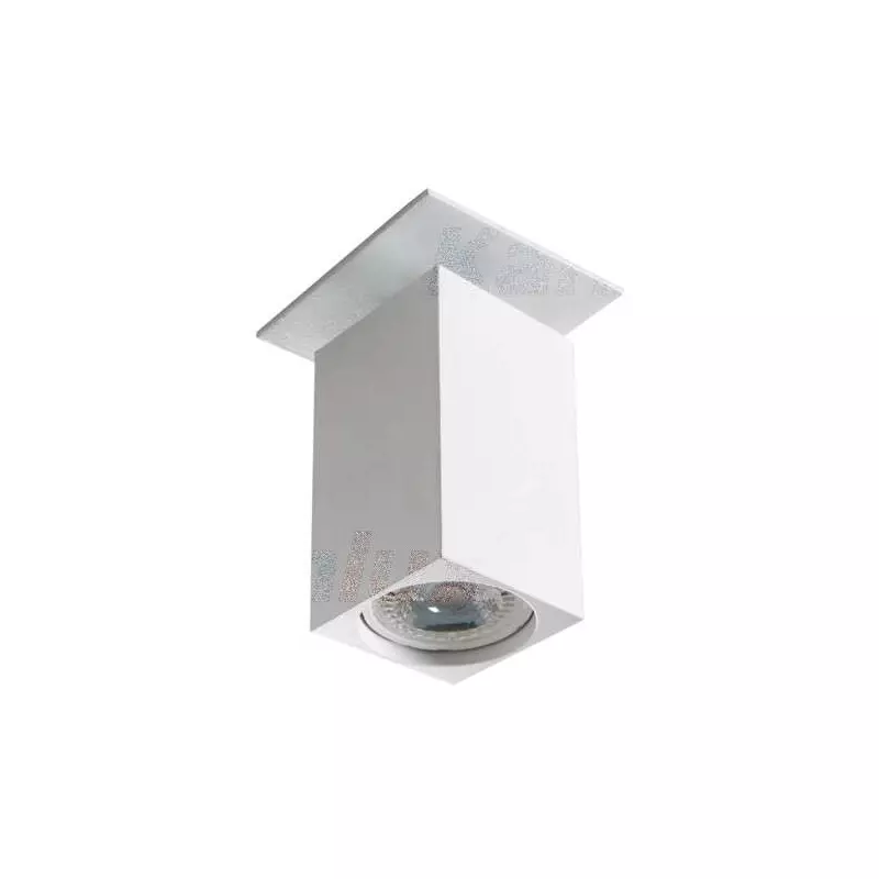 Support de spot orientable encastrable perçage 70mm Blanc 