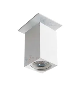 Support de spot orientable encastrable perçage 70mm Blanc 