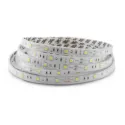 Bandeau LED 5m 60 LED/m 7,2W/m IP65 - Blanc Froid 6000K