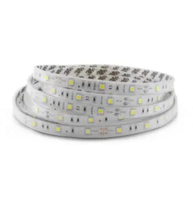 Bandeau LED 5m 60 LED/m 7,2W/m IP65 - Blanc Froid 6000K