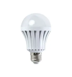 Ampoule LED E27 12W Blanc équivalent à 100W - Blanc Chaud 2700K 