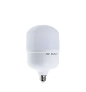 Ampoule LED E27 T100 25W 2500lm (167W) Ø120mm - Blanc Naturel 4500K