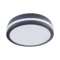 Plafonnier LED 18W étanche IP54 rond ∅220mm Graphite - Blanc Naturel 4000K